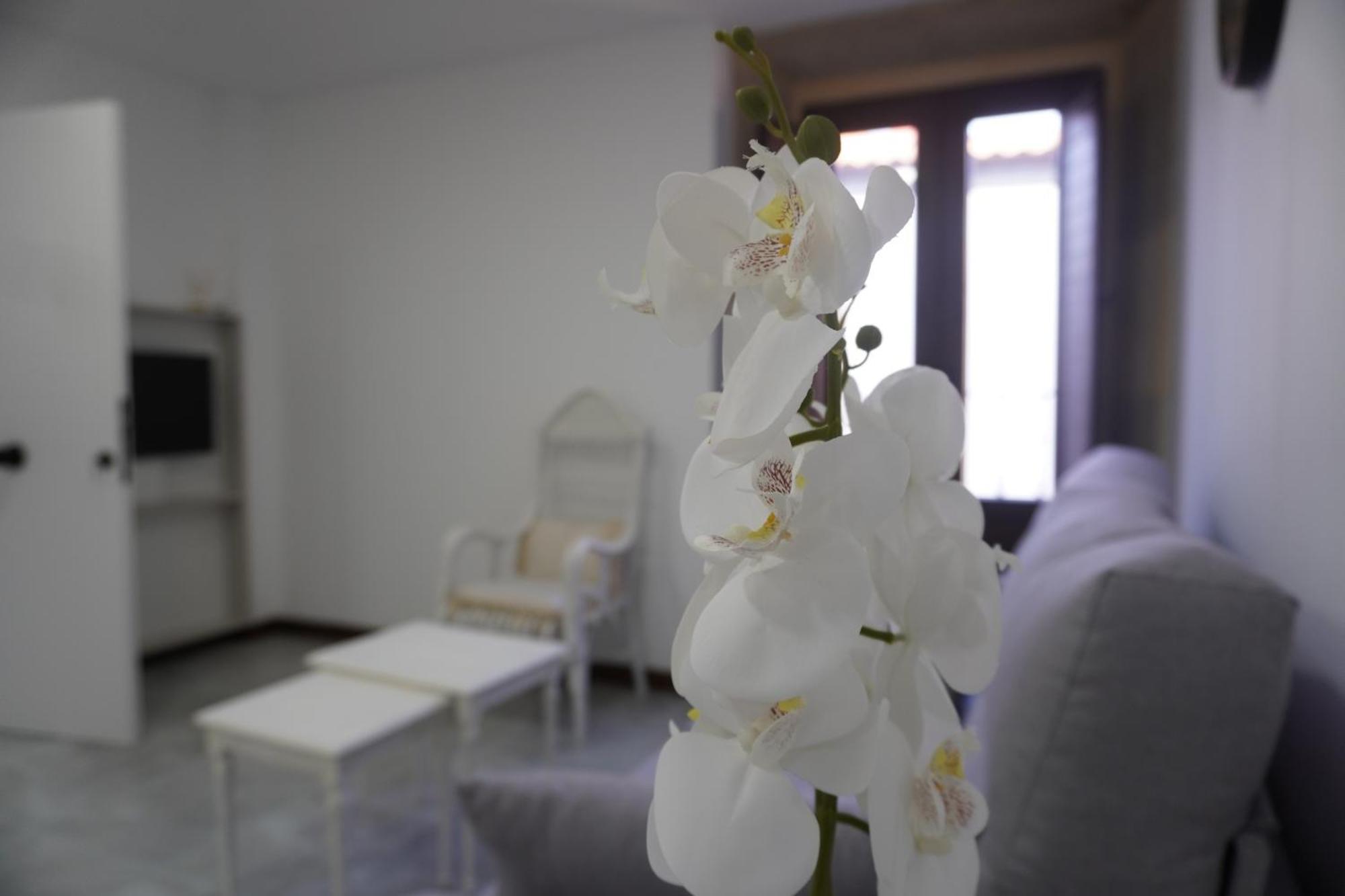 Apartamento Sanin 3 Lumbrales Kültér fotó