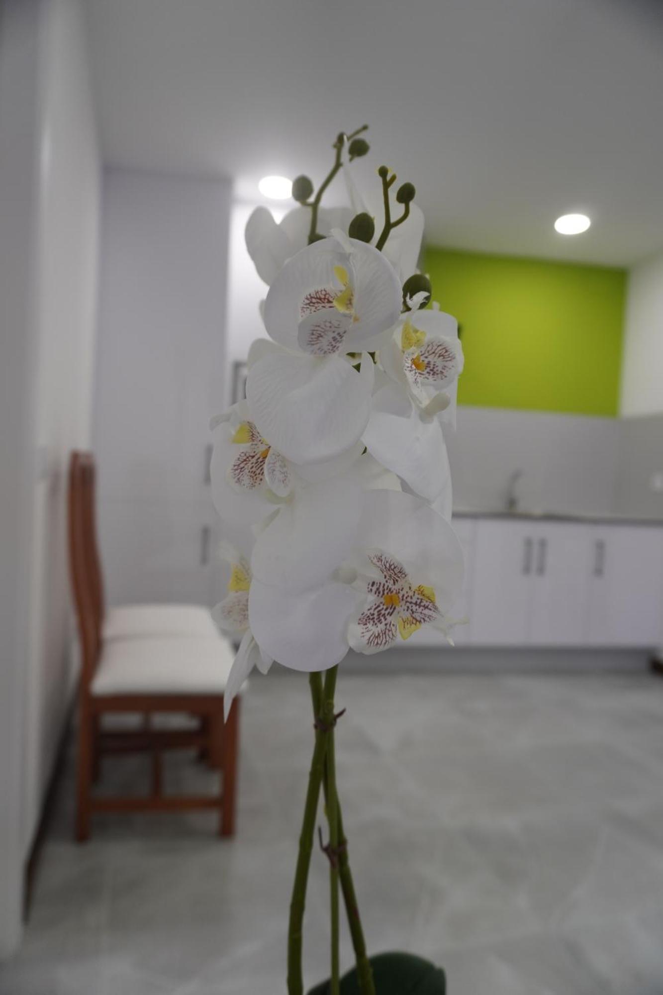 Apartamento Sanin 3 Lumbrales Kültér fotó